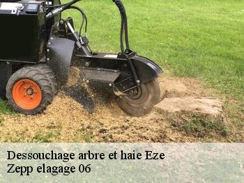 Dessouchage arbre et haie  eze-06360 Zepp elagage 06