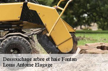 Dessouchage arbre et haie fontan-06540 Louis Antoine Elagage