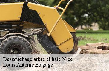 Dessouchage arbre et haie  nice-06000 Louis Antoine Elagage