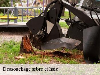 Dessouchage arbre et haie