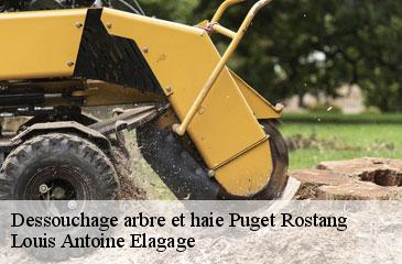 Dessouchage arbre et haie  puget-rostang-06260 Louis Antoine Elagage