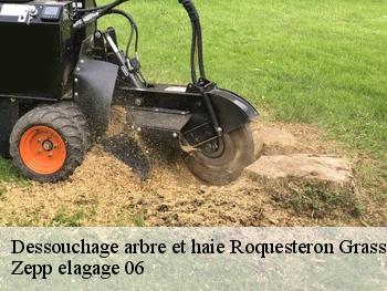 Dessouchage arbre et haie roquesteron-grasse-06910 Zepp elagage 06
