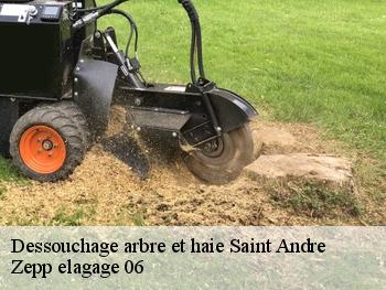 Dessouchage arbre et haie saint-andre-06730 Zepp elagage 06