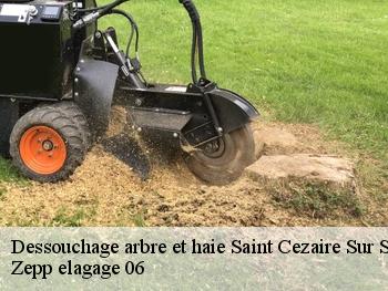 Dessouchage arbre et haie  saint-cezaire-sur-siagne-06780 Zepp elagage 06