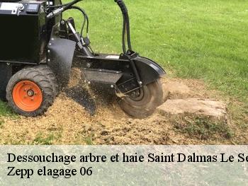 Dessouchage arbre et haie saint-dalmas-le-selvage-06660 Zepp elagage 06