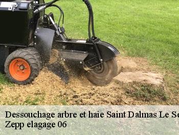 Dessouchage arbre et haie  saint-dalmas-le-selvage-06660 Zepp elagage 06