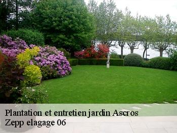 Plantation et entretien jardin  ascros-06260 Zepp elagage 06