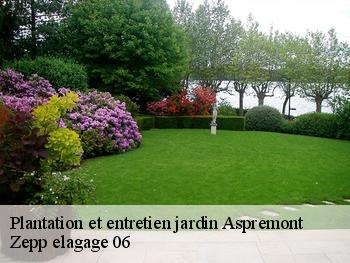 Plantation et entretien jardin  aspremont-06790 Zepp elagage 06