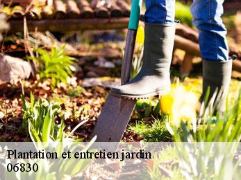 Plantation et entretien jardin  06830