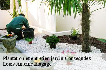 Plantation et entretien jardin  consegudes-06510 Louis Antoine Elagage