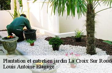 Plantation et entretien jardin  la-croix-sur-roudoule-06260 Louis Antoine Elagage