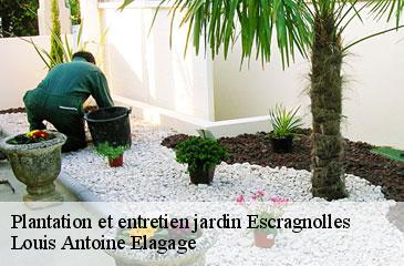 Plantation et entretien jardin escragnolles-06460 Louis Antoine Elagage