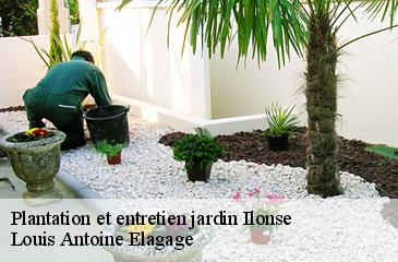 Plantation et entretien jardin ilonse-06420 Louis Antoine Elagage