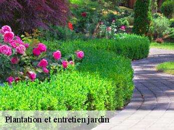 Plantation et entretien jardin