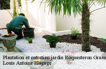 Plantation et entretien jardin  roquesteron-grasse-06910 Louis Antoine Elagage