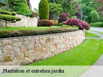 Plantation et entretien jardin