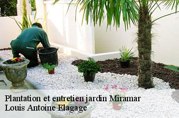 Plantation et entretien jardin  miramar-06590 Louis Antoine Elagage
