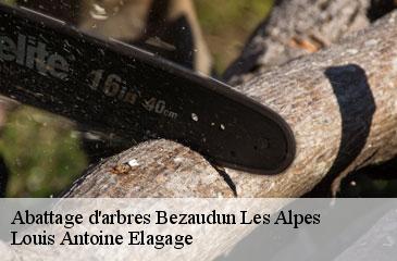 Abattage d'arbres bezaudun-les-alpes-06510 Louis Antoine Elagage