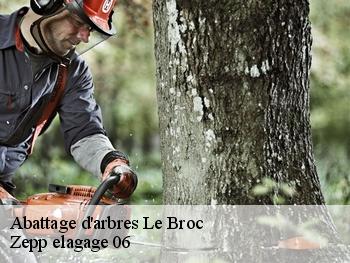 Abattage d'arbres  le-broc-06510 Zepp elagage 06