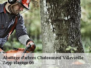 Abattage d'arbres  chateauneuf-villevieille-06390 Zepp elagage 06