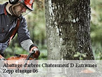 Abattage d'arbres  chateauneuf-d-entraunes-06470 Zepp elagage 06