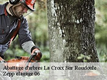 Abattage d'arbres  la-croix-sur-roudoule-06260 Zepp elagage 06