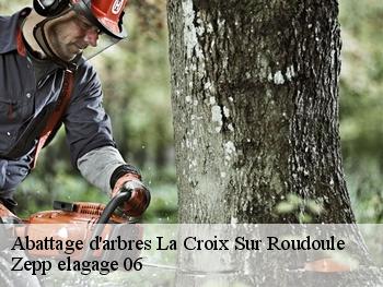 Abattage d'arbres la-croix-sur-roudoule-06260 Zepp elagage 06