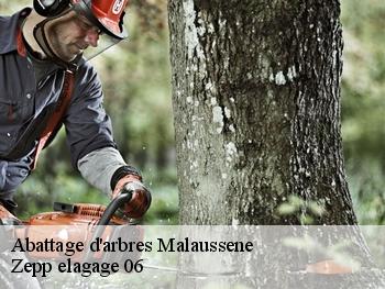 Abattage d'arbres  malaussene-06710 Zepp elagage 06