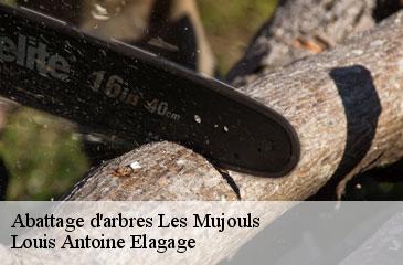 Abattage d'arbres  les-mujouls-06910 Louis Antoine Elagage