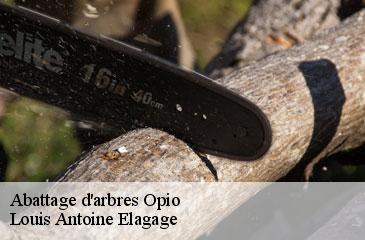 Abattage d'arbres  opio-06650 Louis Antoine Elagage