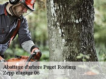 Abattage d'arbres puget-rostang-06260 Zepp elagage 06