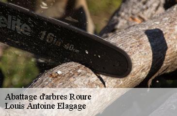 Abattage d'arbres  roure-06420 Louis Antoine Elagage