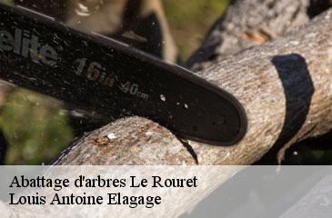 Abattage d'arbres  le-rouret-06650 Louis Antoine Elagage