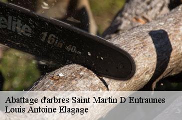 Abattage d'arbres saint-martin-d-entraunes-06470 Louis Antoine Elagage