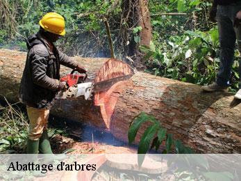 Abattage d'arbres