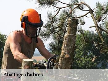 Abattage d'arbres