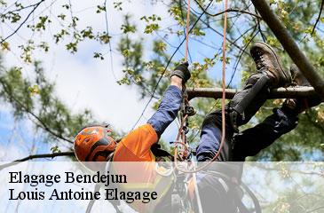 Elagage  bendejun-06390 Louis Antoine Elagage