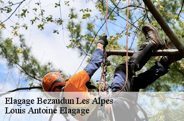 Elagage  bezaudun-les-alpes-06510 Louis Antoine Elagage