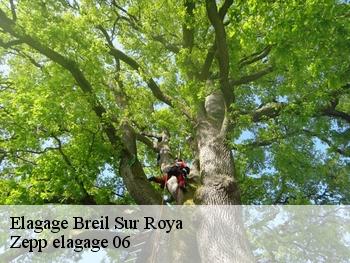 Elagage  breil-sur-roya-06540 Zepp elagage 06