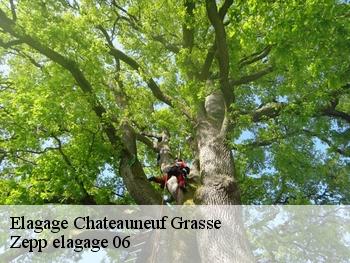 Elagage  chateauneuf-grasse-06740 Zepp elagage 06