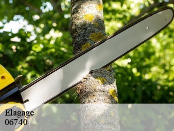 Elagage 06740