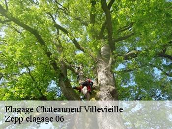 Elagage  chateauneuf-villevieille-06390 Zepp elagage 06