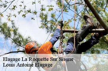 Elagage la-roquette-sur-siagne-06550 Louis Antoine Elagage