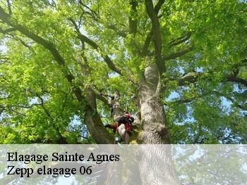 Elagage  sainte-agnes-06500 Zepp elagage 06