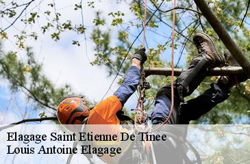 Elagage  saint-etienne-de-tinee-06660 Louis Antoine Elagage