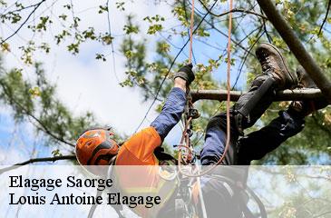 Elagage  saorge-06540 Louis Antoine Elagage