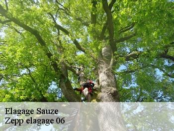 Elagage  sauze-06470 Zepp elagage 06