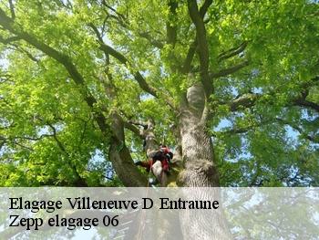 Elagage  villeneuve-d-entraune-06470 Zepp elagage 06
