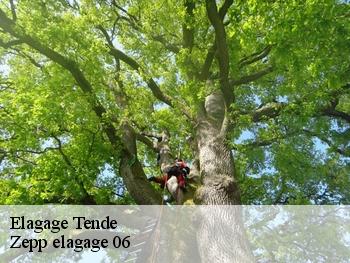 Elagage tende-06430 Zepp elagage 06