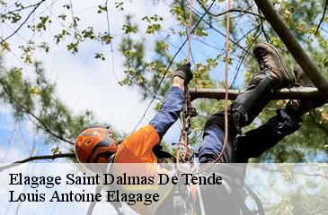 Elagage  saint-dalmas-de-tende-06430 Louis Antoine Elagage
